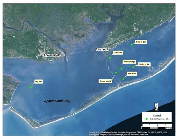 Apalachicola Bay Oyster Restoration Feasibility study to determine and prioritize