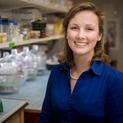 Kelsey Beavers PhD Candidate in Interdisciplinary Material