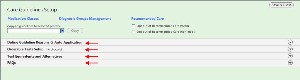 A new consolidated Care Guidelines Set up template 4 easy to follow panels Arranged in