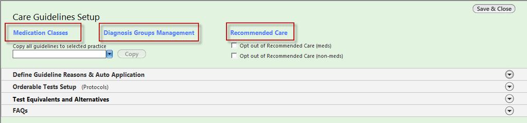 A new consolidated Care Guidelines Set up template Active text links to access guideline