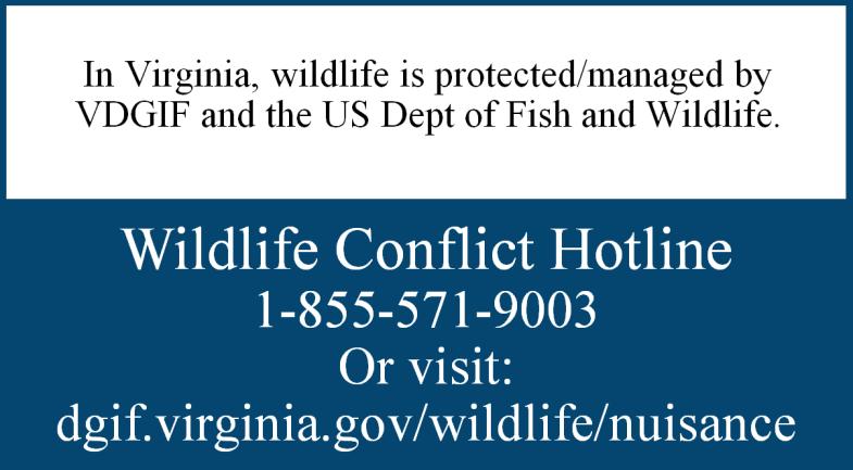 Animal Protection will not trap/capture nuisance wildlife Officers will respond to nuisance wildlife