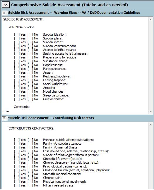 Suicide/Safety Assessment Tab,