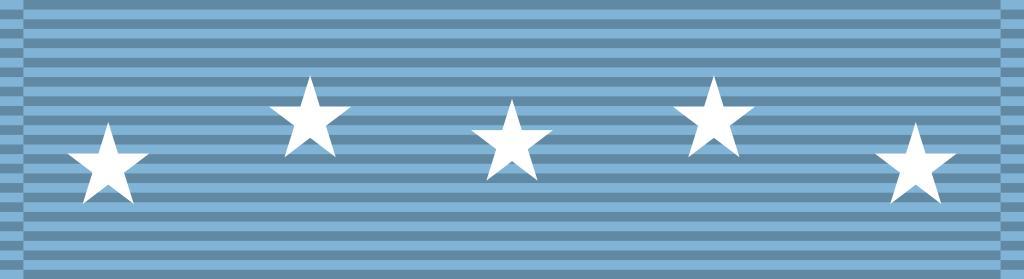 Medal of Honor Navy Cross Medal Defense Distinguished Service Medal Silver Star Medal Distinguished Flying Cross Navy and Marine Corps Medal Bronze Star Medal Purple Heart