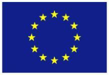 Part-financed by the European Regional CLUSTER FINANCIAL REPORT Instructions A/ COLOUR CODE will be calculated automatically must be filled in by the Lead Partner representative or the Lead Partner