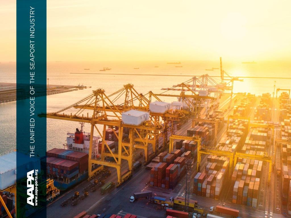 Seaports: Looking Ahead Perspectives on Infrastructure Policy