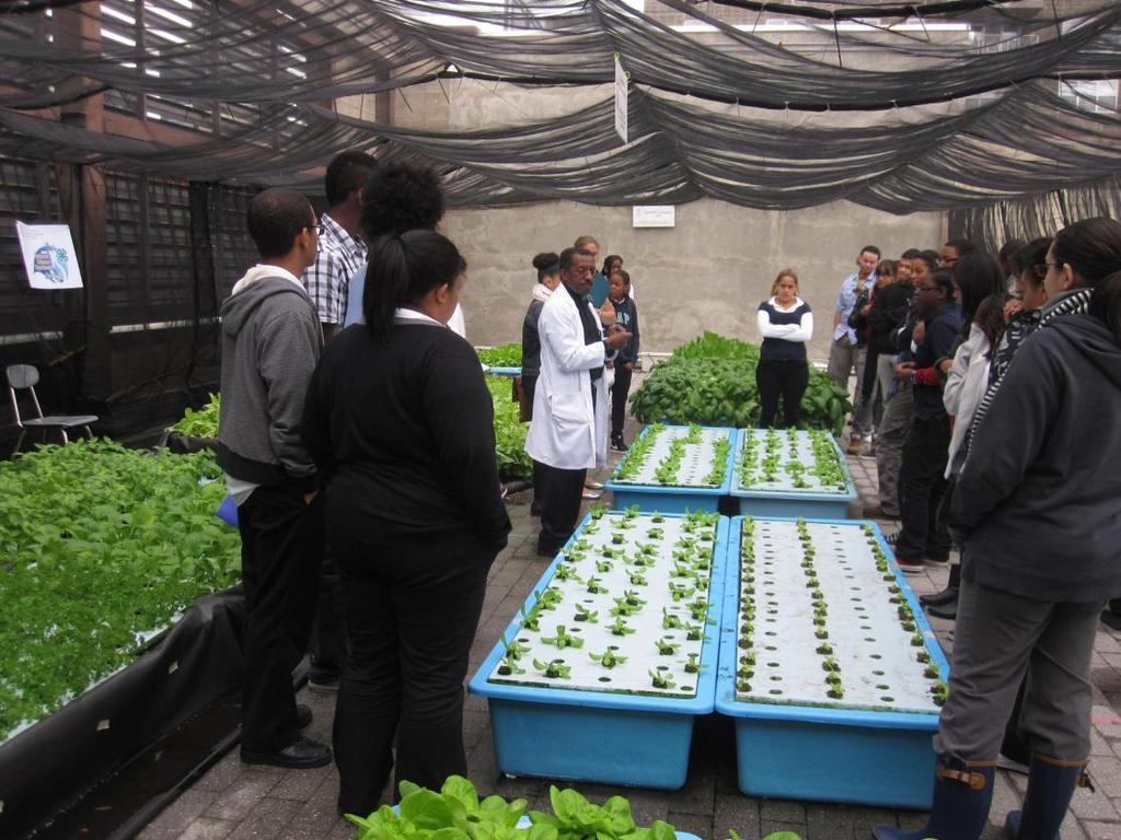 WARNER GIVES YOUTH TOUR OF GREENHOUSE &