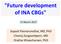 Future development of INA CBGs