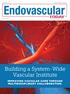Building a System-Wide Vascular Institute