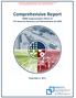 Comprehensive Report. MMB Implementation Efforts of The American Recovery and Reinvestment Act 2009