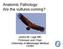 Anatomic Pathology: Are the vultures coming? Janice M. Lage MD Professor and Chair  University of Mississippi Medical Center