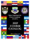 Inter-American Air Forces Academy (IAAFA) 2017 Course Catalog. JBSA-Lackland, Texas