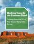 Working Towards the Common Good: Findings from the 2016 New Mexico Nonprofit Survey