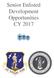 Senior Enlisted Development Opportunities CY 2017