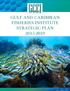 Gulf and Caribbean Fisheries Institute Strategic Plan GULF AND CARIBBEAN FISHERIES INSTITUTE STRATEGIC PLAN GCFI.