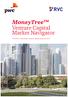 MoneyTree TM Venture Capital Market Navigator. Overview of Russian venture capital deals in 2012