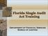 Florida Single Audit Act Training. Department of Financial Services Bureau of auditing