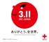 Great East Japan Earthquake and Tsunami Aid Report