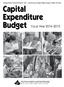 Independent School District 196 Rosemount-Apple Valley-Eagan Public Schools Capital Expenditure Budget Fiscal Year