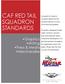 CAF RED TAIL SQUADRON STANDARDS
