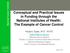 Conceptual and Practical Issues in Funding through the National Institutes of Health: The Example of Cancer Control
