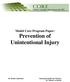 Model Core Program Paper: Prevention of Unintentional Injury