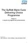The Suffolk Marie Curie Delivering Choice Programme