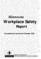 Report. Minnesota. Occupational Injuries and Illnesses, 2003