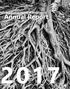 Appalachian Council of Governments. Annual Report