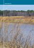 appendices Wetlands and forest are characteristic of the Chesapeake Bay watershed.