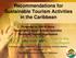 Recommendations for Sustainable Tourism Activities in the Caribbean