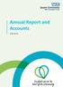 Annual Report and Accounts to 17