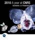 2010 A year at CNRS Economic and Financial Report