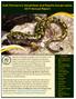 DoD Partners in Amphibian and Reptile Conservation 2017 Annual Report