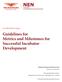 Guidelines for Metrics and Milestones for Successful Incubator Development