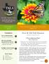 Features. New & Old Fall Zinnias. July/August Texas Nursery & Landscape Association Region IV. Every Issue. New & Old Fall Zinnias