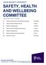 SAFETY, HEALTH AND WELLBEING COMMITTEE