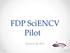 FDP SciENCV Pilot. January 28, 2013