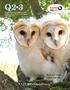 Q2 3. NATURE Owl Power. Barn owl chicks Luna and Lily. Program Guide KENW-TV/FM Eastern New Mexico University February 2015