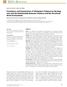 Prevalence and Perpetrators of Workplace Violence by Nursing Unit and the Relationship Between Violence and the Perceived Work Environment