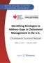 Identifying Strategies to Address Gaps in Cholesterol Management in the U.S. Cholesterol Summit Report APRIL 11, 2017 DALLAS, TEXAS