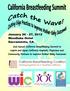 Bonnie Henson. Welcome Summit Attendees! Catch the Wave! Cutting Edge Practices to Improve Mother-Baby Outcomes