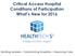 Critical Access Hospital Conditions of Participation What s New for 2016 Building Leaders Transforming Hospitals Improving Care