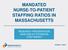 MANDATED NURSE-TO-PATIENT STAFFING RATIOS IN MASSACHUSETTS RESEARCH PRESENTATION: ANALYSIS OF POTENTIAL COST IMPACT