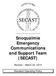 Snoqualmie Emergency Communications and Support Team (SECAST) Revised March 25, Standard Operating Policy