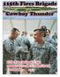 115th Fires Brigade Units conduct TOA and Combat Patch Ceremonies Page 4