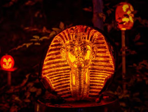 Synopsis Imagine the flickering glow of more than 5,000 artfully carved Jack O Lanterns depicting people, places and scenes from popular culture - all crafted with painstaking detail and amazing