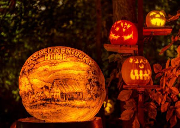 Executive Summary The Louisville Jack O Lantern Spectacular is entering its fifth year as a favorite annual family event for all generations throughout the region.