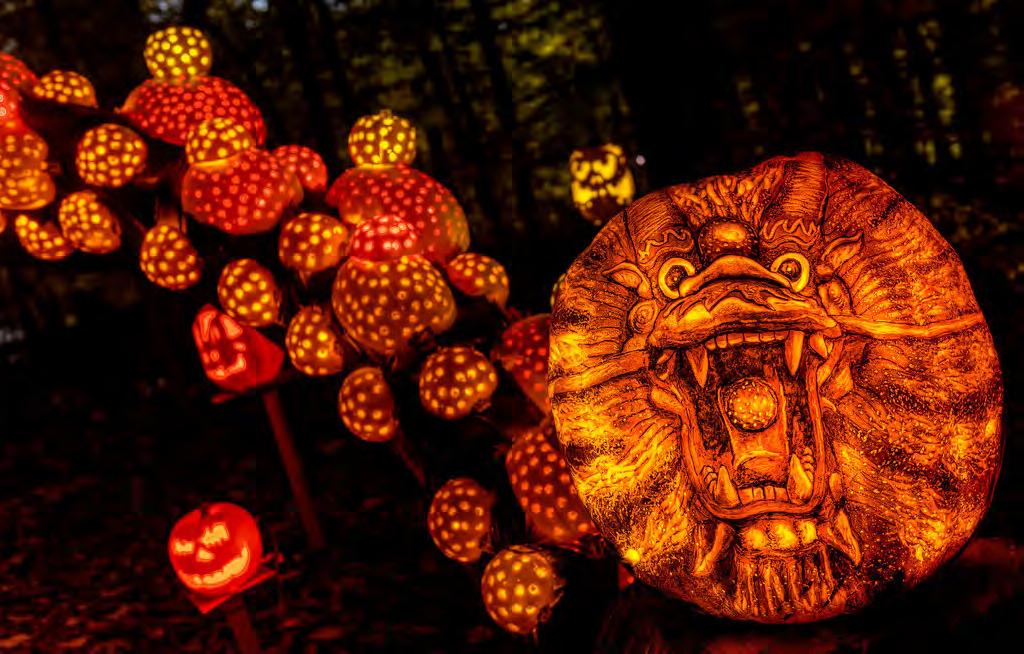 folklore themed pumpkins