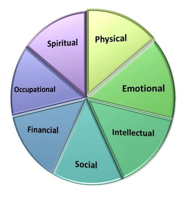 Focus on Recovery Eight dimensions of wellness Four dimensions for recovery o Health o Home stable, safe