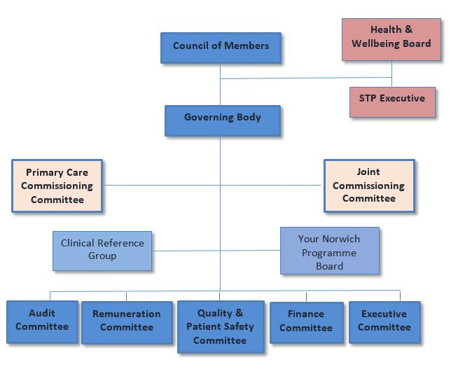 Figure 6 Norwich CCG Governance Structure 7.
